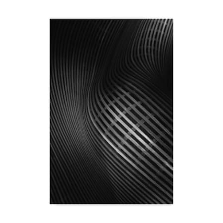 Olavo Azevedo 'Curved Lines' Canvas Art,16x24